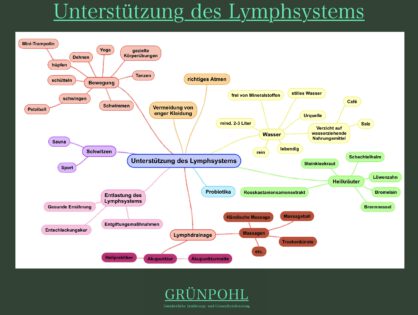 Lymphsystem